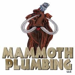 Mammoth Plumbing Houston TX